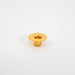 Color: Brass